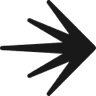 LaunchDarkly icon